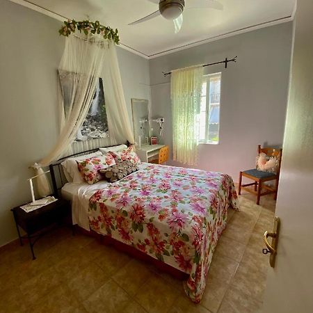 Gallery Apartments Lixouri Dış mekan fotoğraf